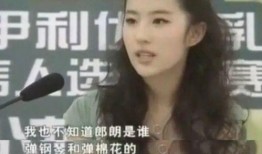 刘亦菲爆料整容了吗视频,揭秘明星美容背后的秘密